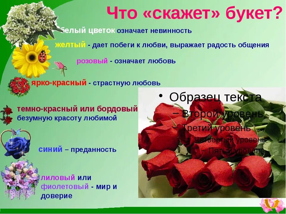 5 цветов что означает. Значение цветов в букете. Язык цветов в букете. Цветы и их обозначения. Что обозначают цветы.