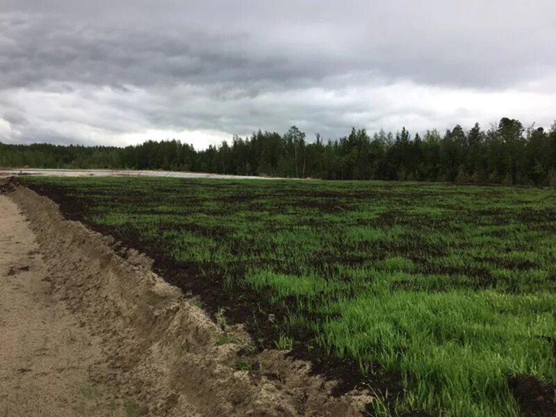 Рекультивация плодородного слоя почвы. Бороздчата эрозияаочв. Уничтожение плодородного слоя почвы. Нарушение сельскохозяйственных земель. Рекультивация земельных участков.