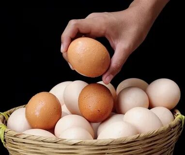 Your egg