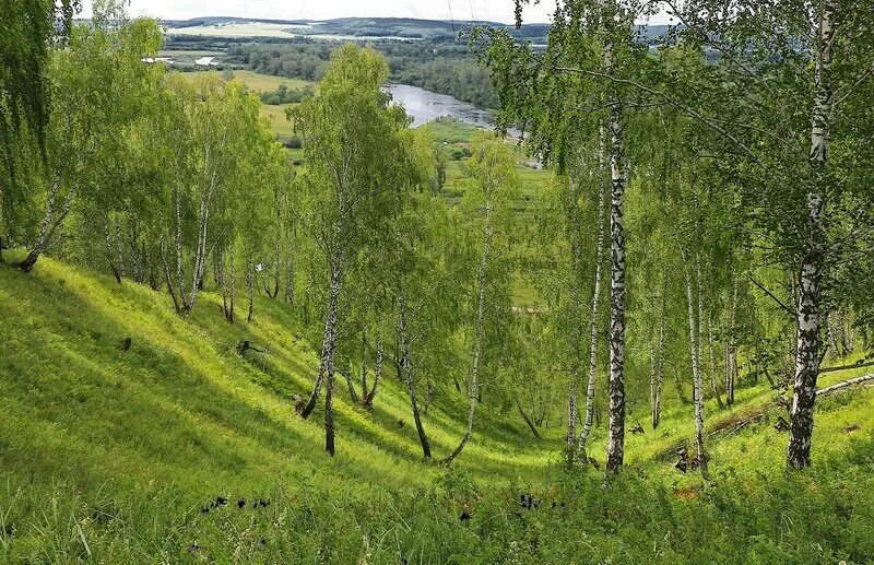 Просторы России. Бескрайние просторы России. Бескрайняя Россия. Родина фото. Поставь на простор