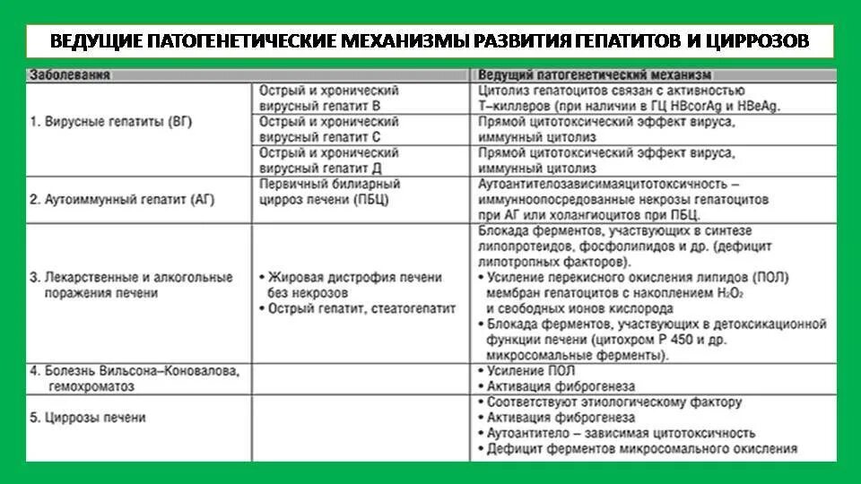 Цирроз печени признаки и симптомы лечение. Токсический лекарственный гепатит дифференциальный диагноз. Хронический вирусный гепатит с дифференциальная диагностика. Клинические проявления цирроза печени таблица. Хронический гепатит и цирроз печени.