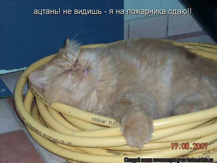 На пожарника сдаешь что значит. Спит как пожарник откуда выражение. На пожарника сдаешь что значит. Сдавать на пожарника. На пожарника сдаешь что значит.