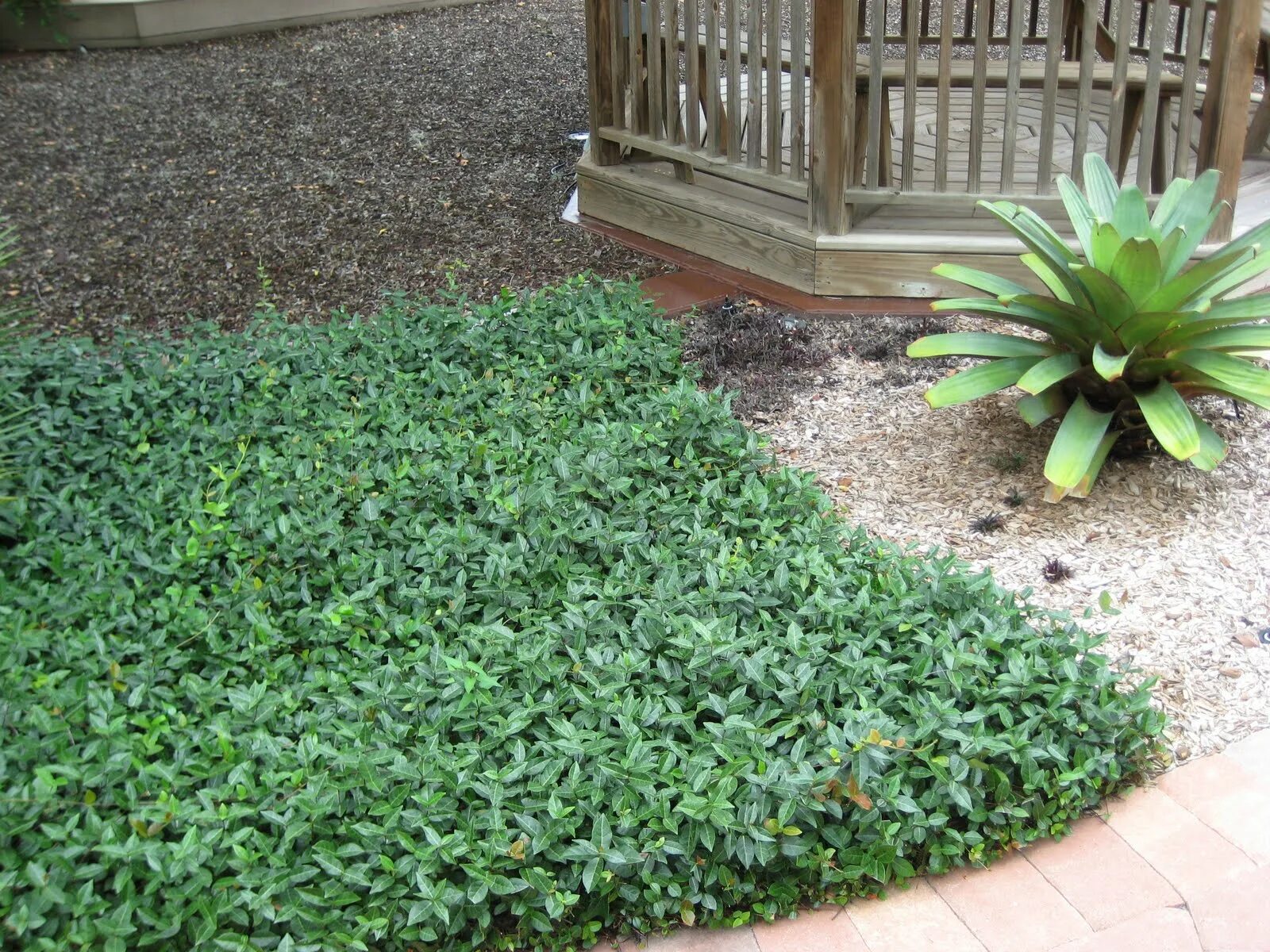 Covering ground