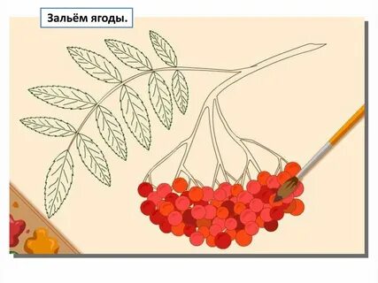 Рисуем ветку рябины поэтапно