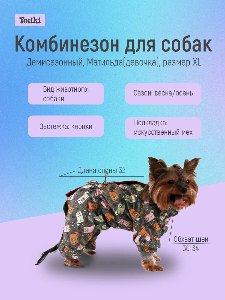 Формат карточек для вайлдберриз. Карточка товара на вайлдберриз. карточки вайлдберриз инфографика. карточка товара для животныхсна вайлдберриз. карточка для вайлдберриз товары для животных.