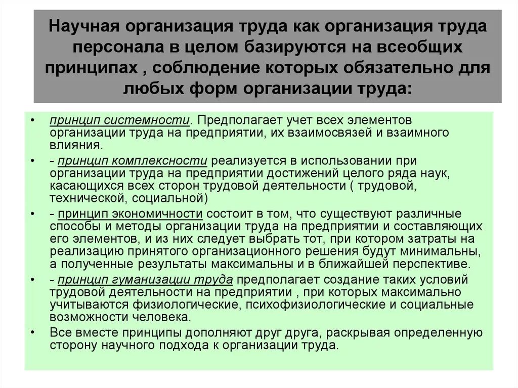 Что является научной организацией. Принципы эффективной организации труда. Научная организация труда персонала. Принципы организации труда персонала. Перечислите принципы организации труда:.