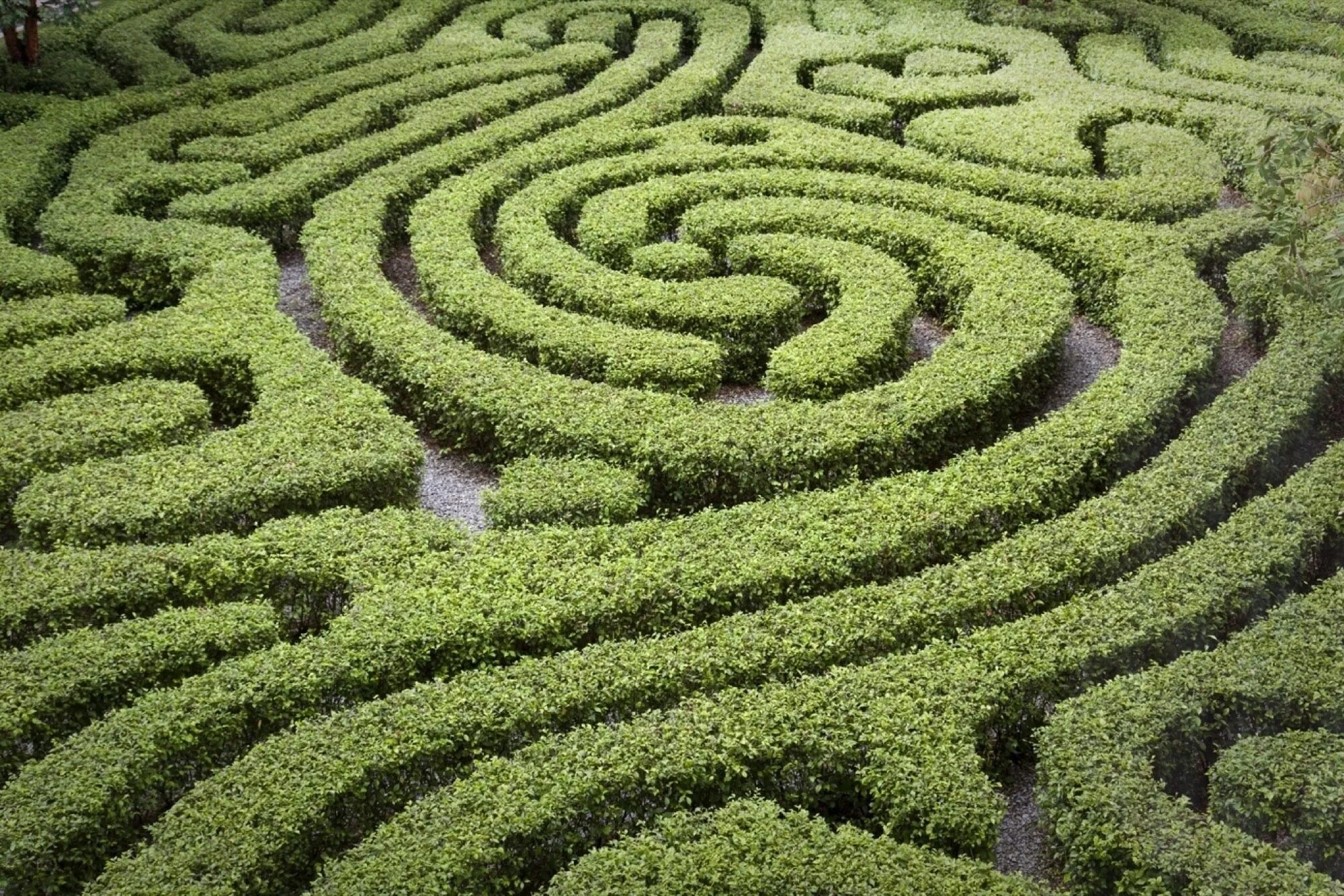 Лабиринт в каком городе. Лабиринт лонглит (longleat hedge maze), англия, великобритания. лабиринт longleat hedge maze. лабиринт из зелени. лабиринт - зеленый.