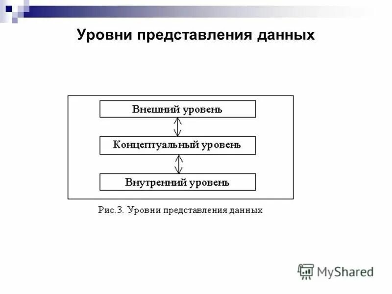 Представление данных и знаний. Представление данных и знаний