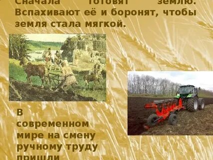 Первый трактор за час вспашет