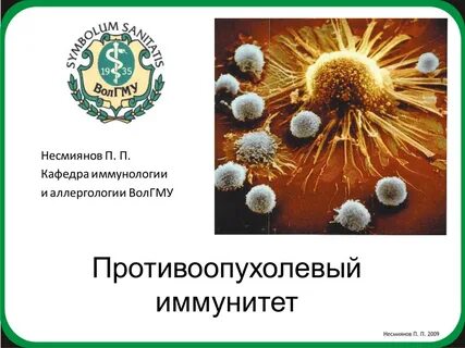 Иммунитет иммунология
