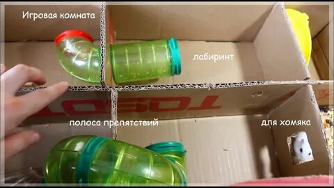 Как проходить хомяка мини игру