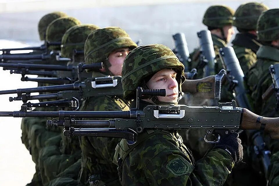 Эстония направит одного военного. Армия Эстонии. Эстонская армия. Эстонский солдат. Вооружение эстонской армии.