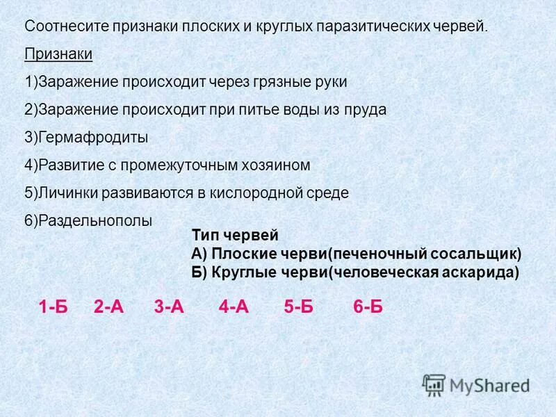 Установите соответствие между примерами и типами санкций. Установите соответствие между типом червей. Виды социальных санкций:. Установите соответствие между типом червей. Установите соответствие.