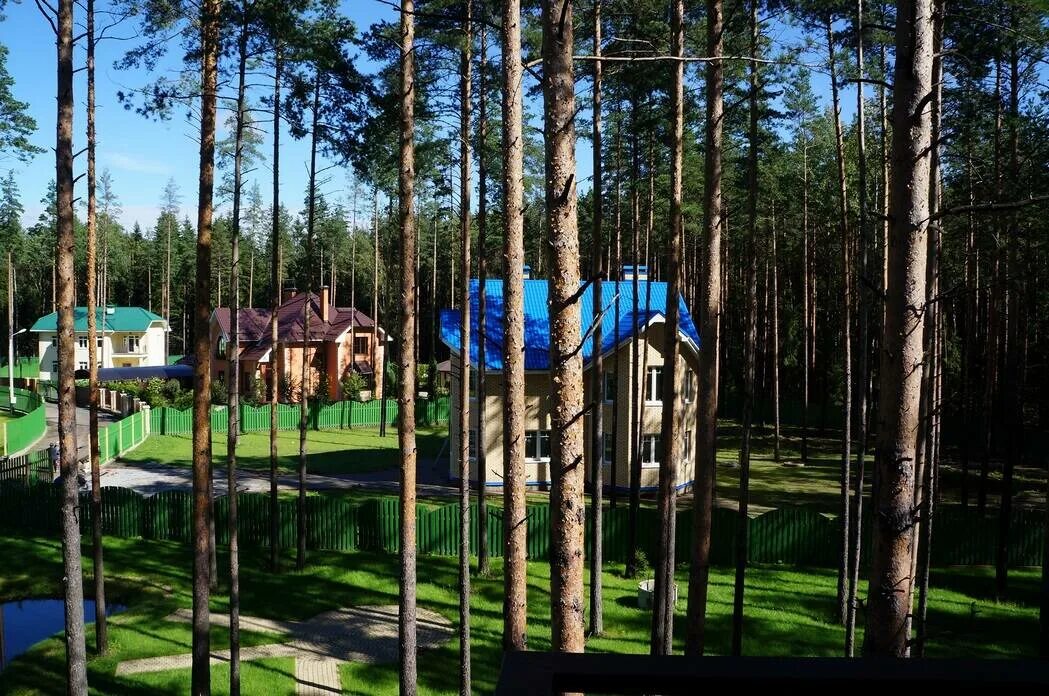 Коттеджный поселок солнечный бор камышовская 18 всеволожский район. Коттеджный поселок солнечный бор всеволожский район. Кп солнечный бор всеволожский район. Кп сосновый бор всеволожский. Коттеджный поселок солнечный бор ярославль.