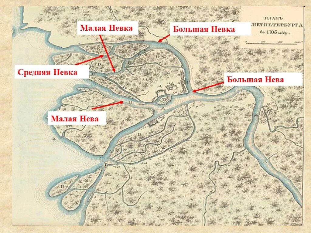 Река в дельте невы. Река в дельте невы. Река в дельте невы. Дельта невы карта. Схема реки невы.