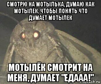 Холидей бой мотыльки текст песни