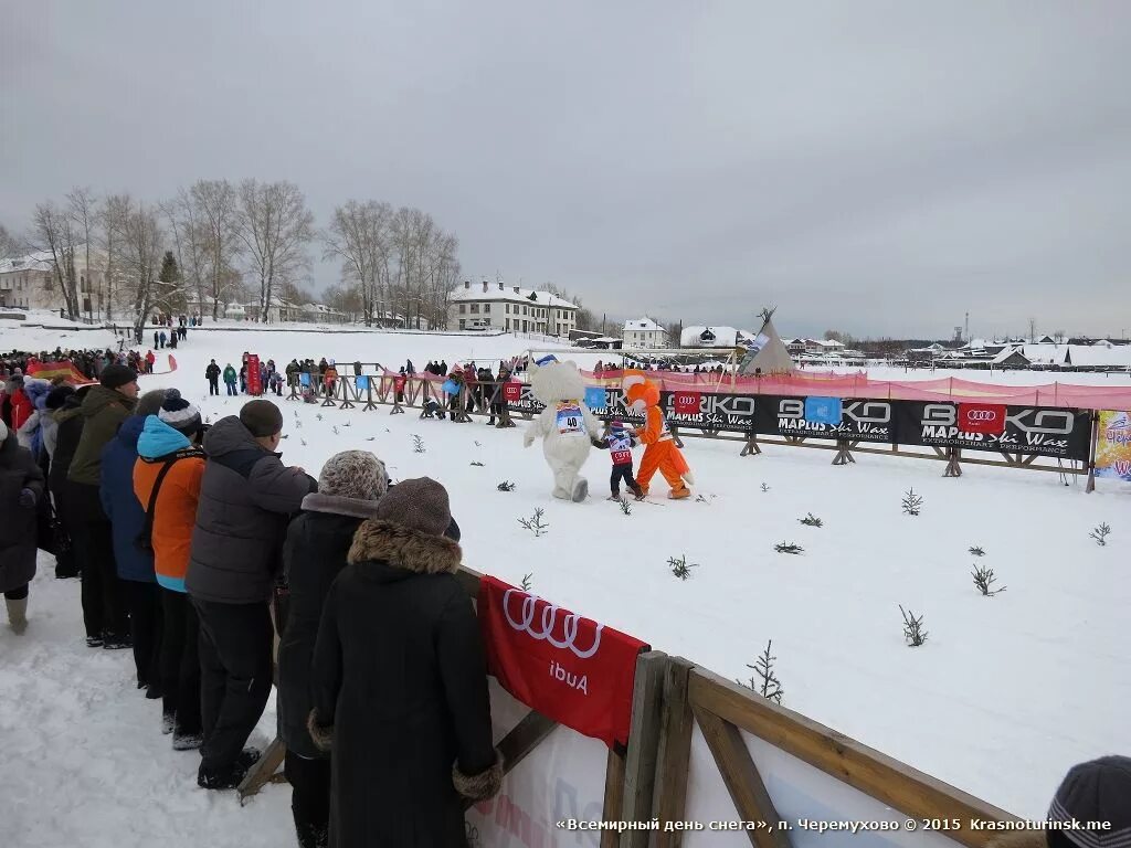 Гаи североуральск. Североуральск поселок черемухово. Черёмухово (североуральский городской округ). Черёмухово свердловская область. Свердловская область город североуральск поселок черемухово.