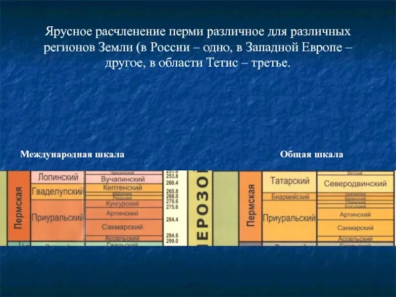 Почвы региона. Ярусы Перми. Каменноугольный период таблица. Вертикальное и горизонтальное расчленение почвы. Татарский ярус Перми.