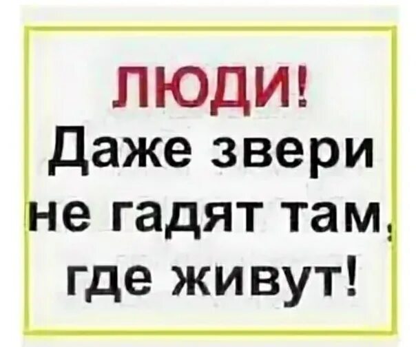 Там только жил был и жил. Гадят где живут. Где живу там и гажу. Не гадь где живешь пословица. Соблюдайте чистоту в подъезде.