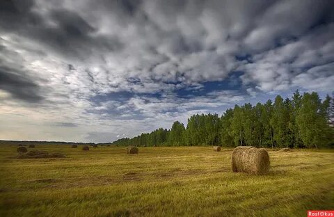 2 сенокосе