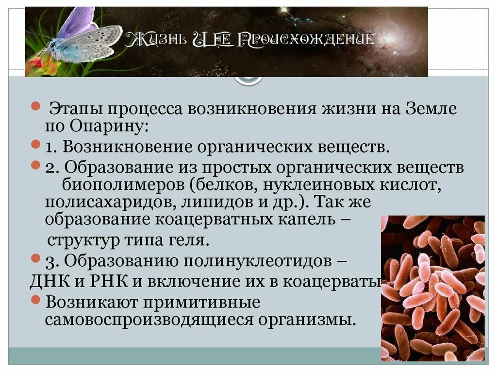 Природно биологического происхождения. Этапы возникновения жизни на земле. Этапы возникновения жизни по Опарину. Этапы эволюции по Опарину. Возникновение жизни по Опарину.