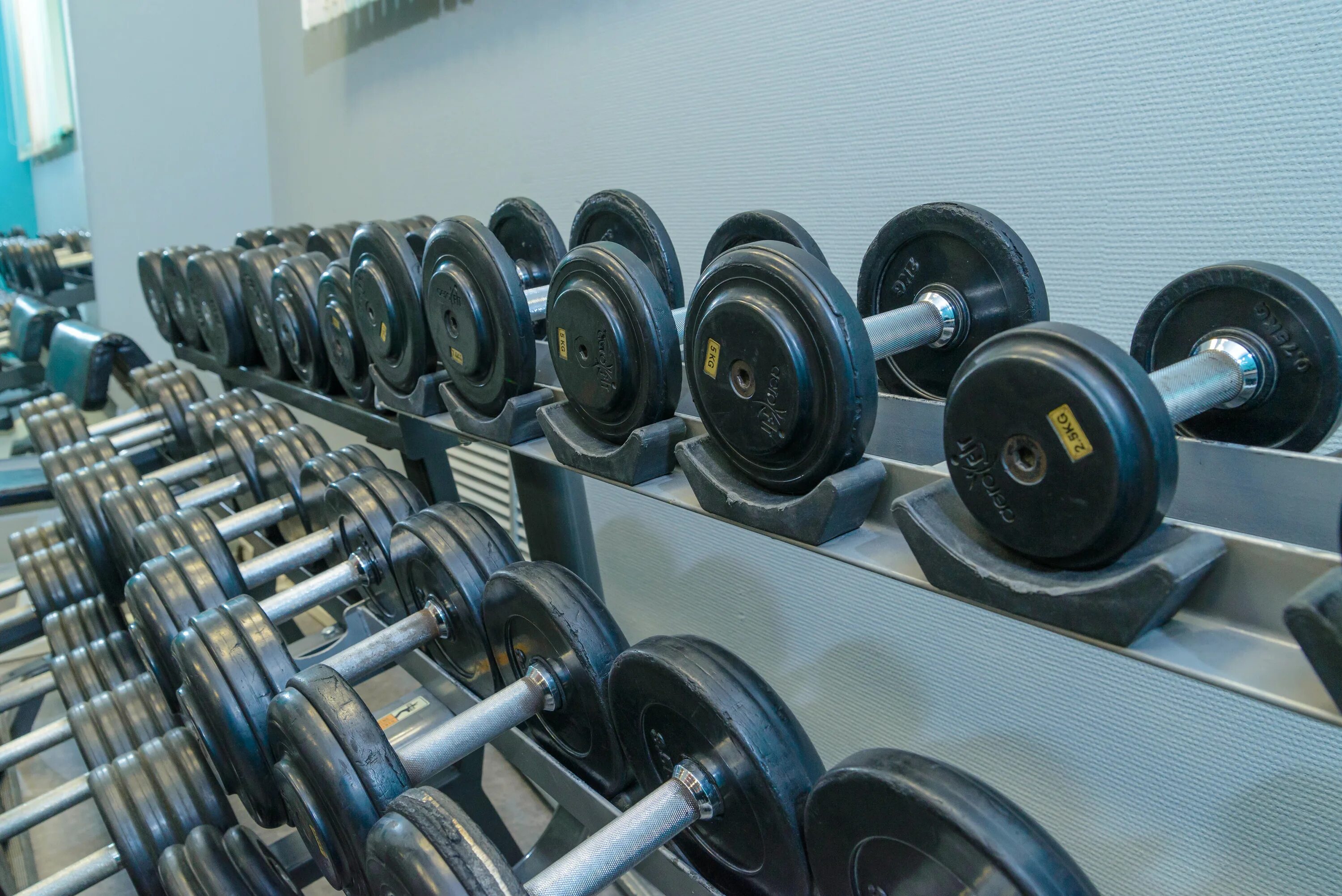 Рейтинг фитнесов. Фитнес центр люкс. Фитнес браслет без дисплея 2022. Платформа спортзал ижевск. Средняя стоимость.