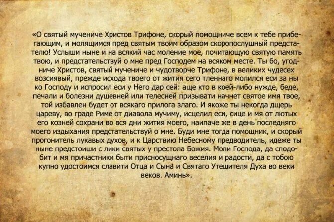 Читать от неприятностей на работе. Молитва от неприятностей на работе. молитва о неприятностях на работе. молитва святому трифону. молитва святым об устройстве на работу.