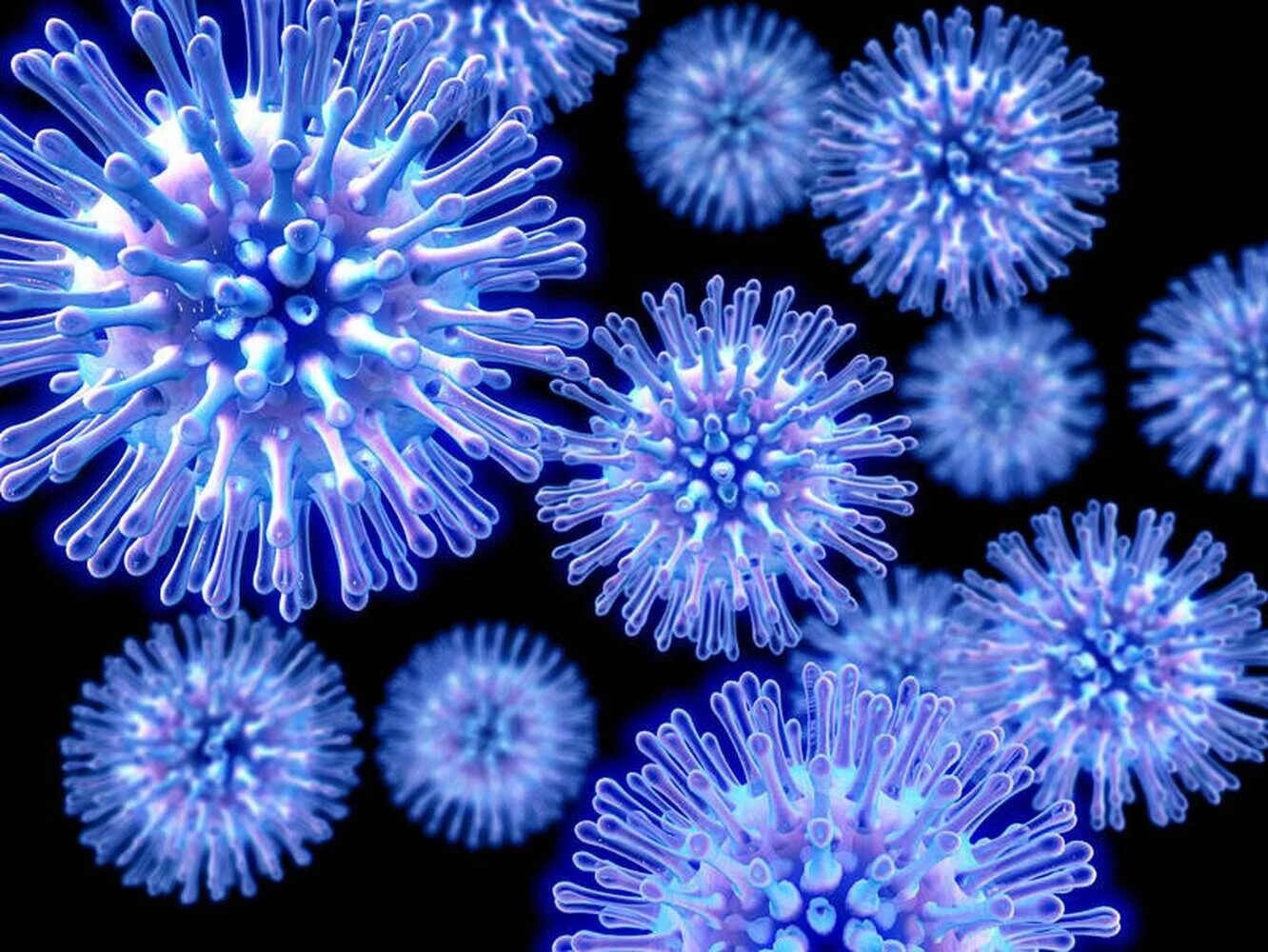 Картинки про вируса. Вирус influenza. Вирус гриппа h1n1. Вирус h1n1 под микроскопом. Вирус гриппа под микроскопом.