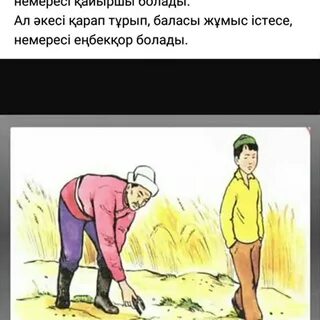 Әйел күйеу еркек секс