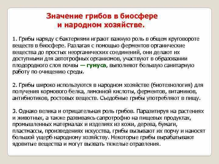 Роль грибов в жизни бактерий. Значение грибов. Значение грибов в биосфере. Грибы роль в биосфере. Роль бактерий и грибов в биосфере.