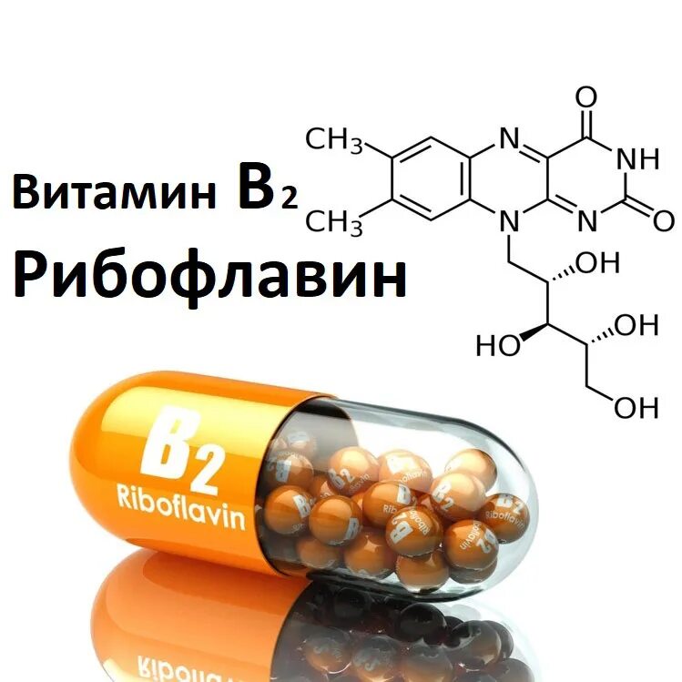 Витамины тормозящие