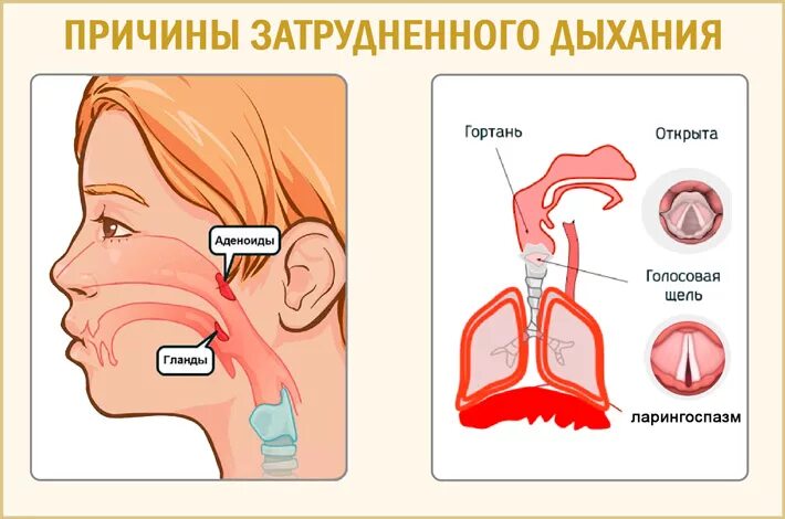 Начала задыхаться причины