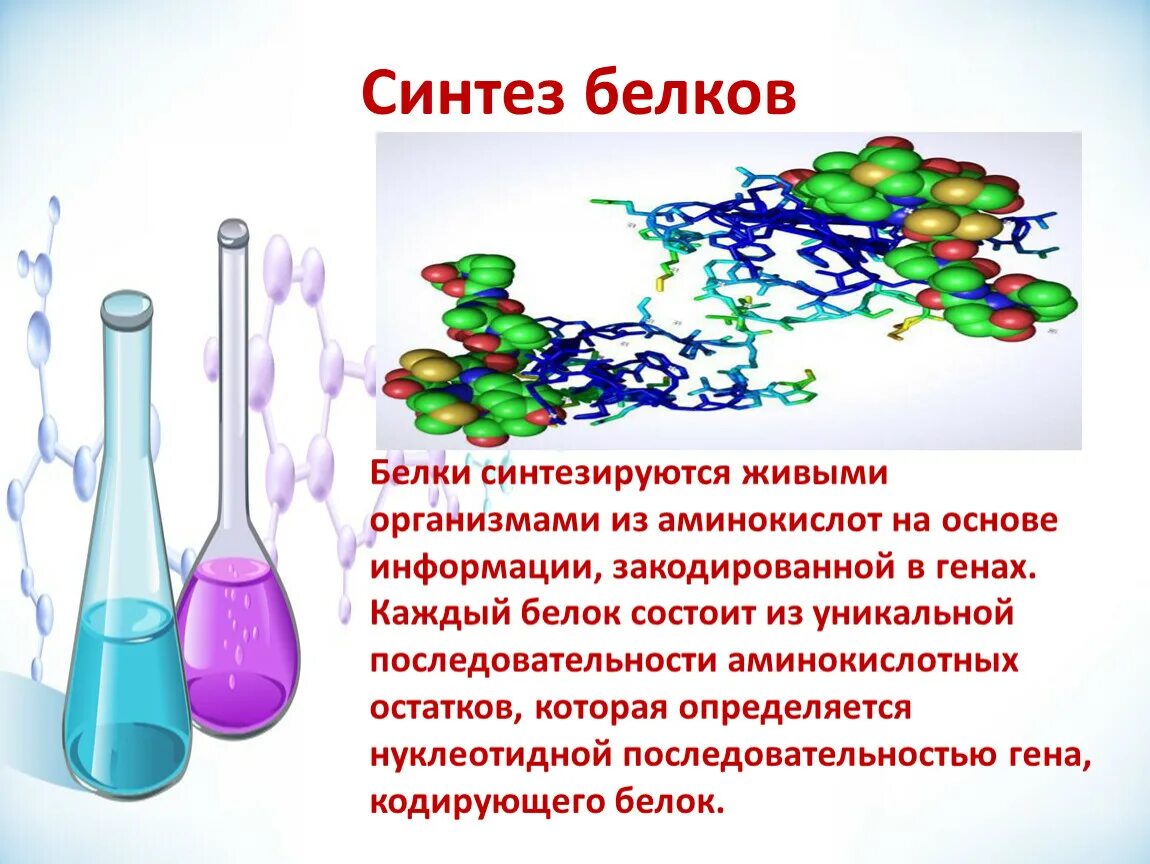 Что такое синтез. Синтез белков химические формулы. Синтез. Sintaş. Белки синтезируются в.