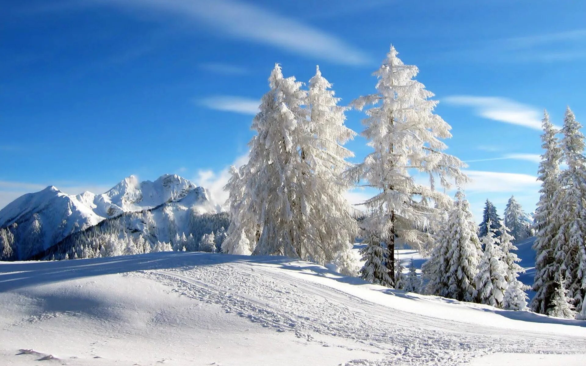 Зима на рабочий стол смартфона. Картинки на рабочий стол зима. Обои на рабочий стол вертикальные зима. Красивая зима. Зимние картинки красивые.