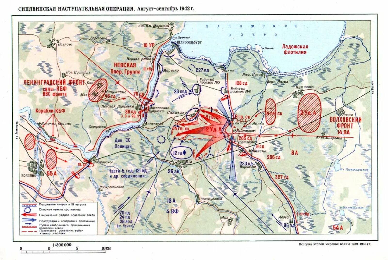 3 августа 1942 г. Синявинская наступательная операция 1942. Синявинская операция 19 августа 10 октября 1942 года. Синявинская операция 1942 карта. Синявинская наступательная операция 1942 года карта.