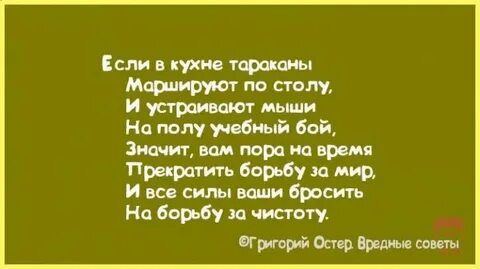Остер 16