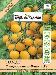 Томат смородина
