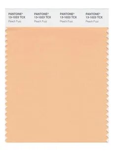 Персиковый пушок 13 1023 peach fuzz