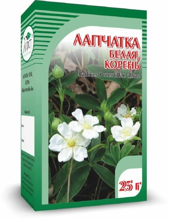 Лапчатка корень инструкция по применению. Лапчатка белая прямостоячая. лапчатка белая плюс. лапчатка белая корневища. лапчатка белая растение.