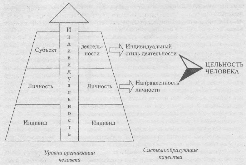 Уровни организации человека Ананьев. Уровни организации человека индивид, личность, индивидуальность. Индивид личность индивидуальность субъект деятельности по Ананьеву. Структура личности человека схема. Уровни психологической активности