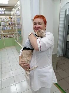 Пенсионерка дзен