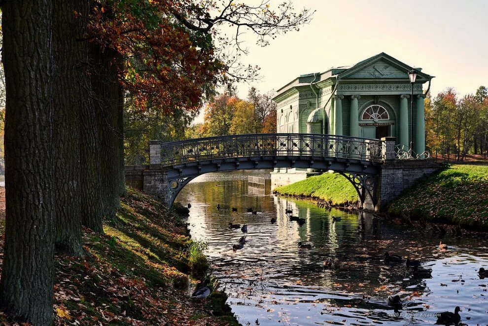 Гатчина парк пруд. Ландшафт парк гатчина. Гатчина парки. Гатчинский парк. Гатчинский парк.