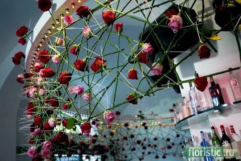 Флористический феномен