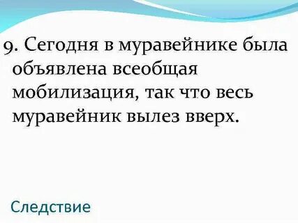 В муравейнике была объявлена всеобщая мобилизация