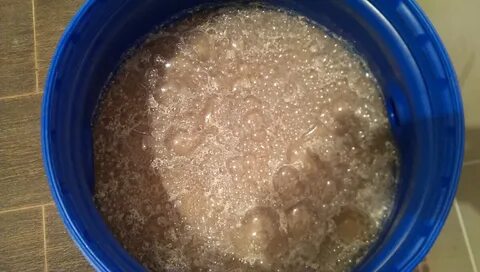 Экспериментатор поместил дрожжи в подслащенной воде