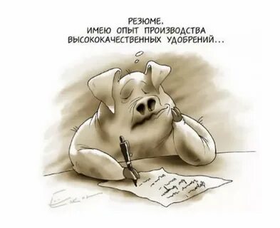 Смешной про работу картинки прикольные