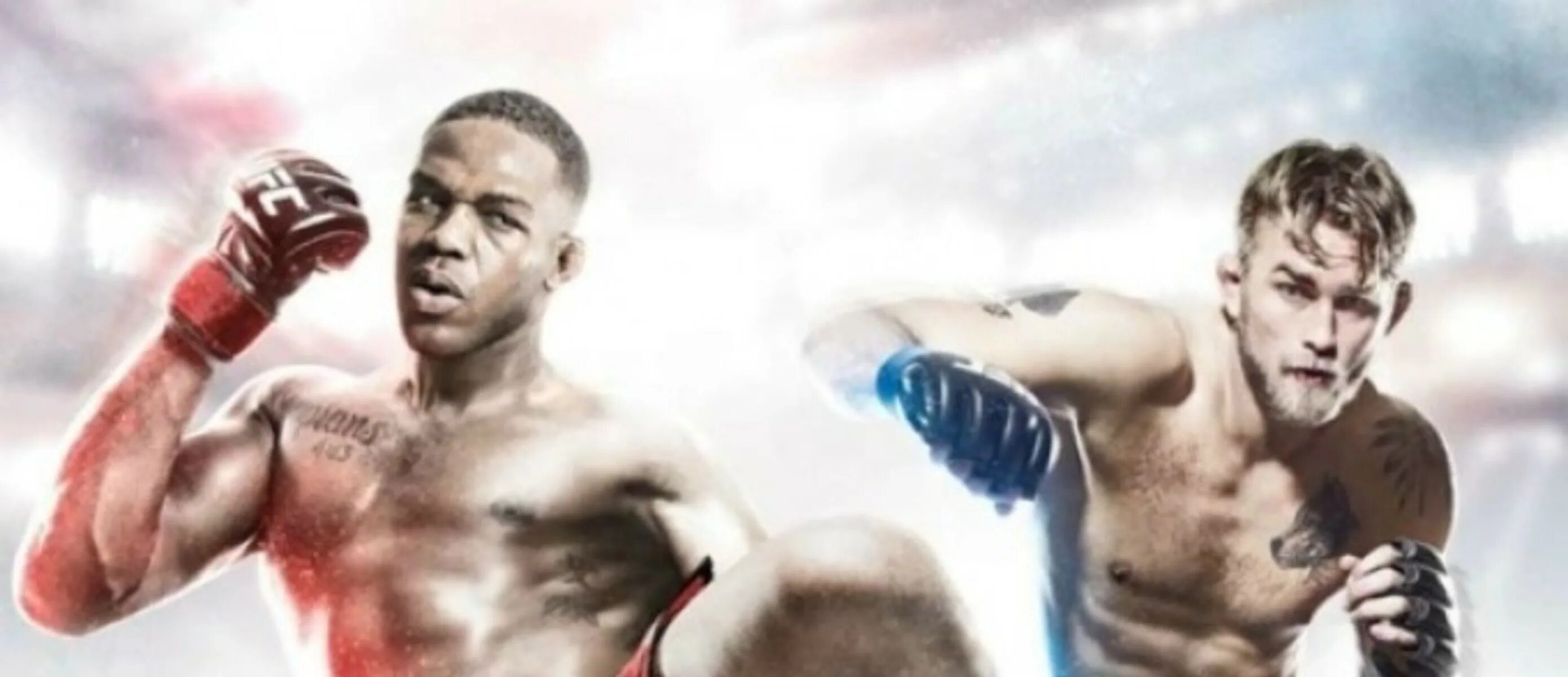 Ufc 01.09. Бойцы ufc. фон мма. фон юфс.