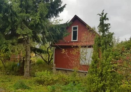 Снт дружба ленинградская область