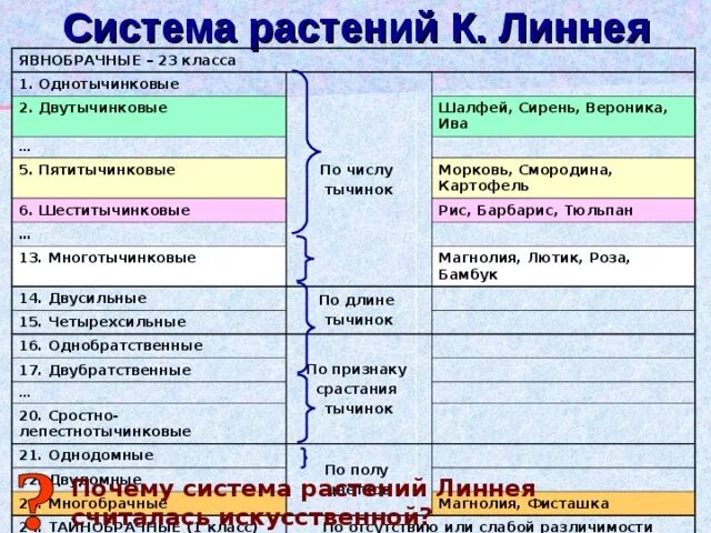 Презентация к уроку географии "Природные зоны Австралии" - география, презентаци
