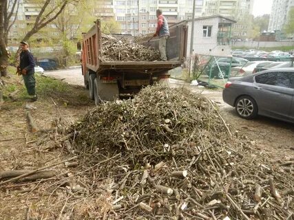 Переработанные ветки